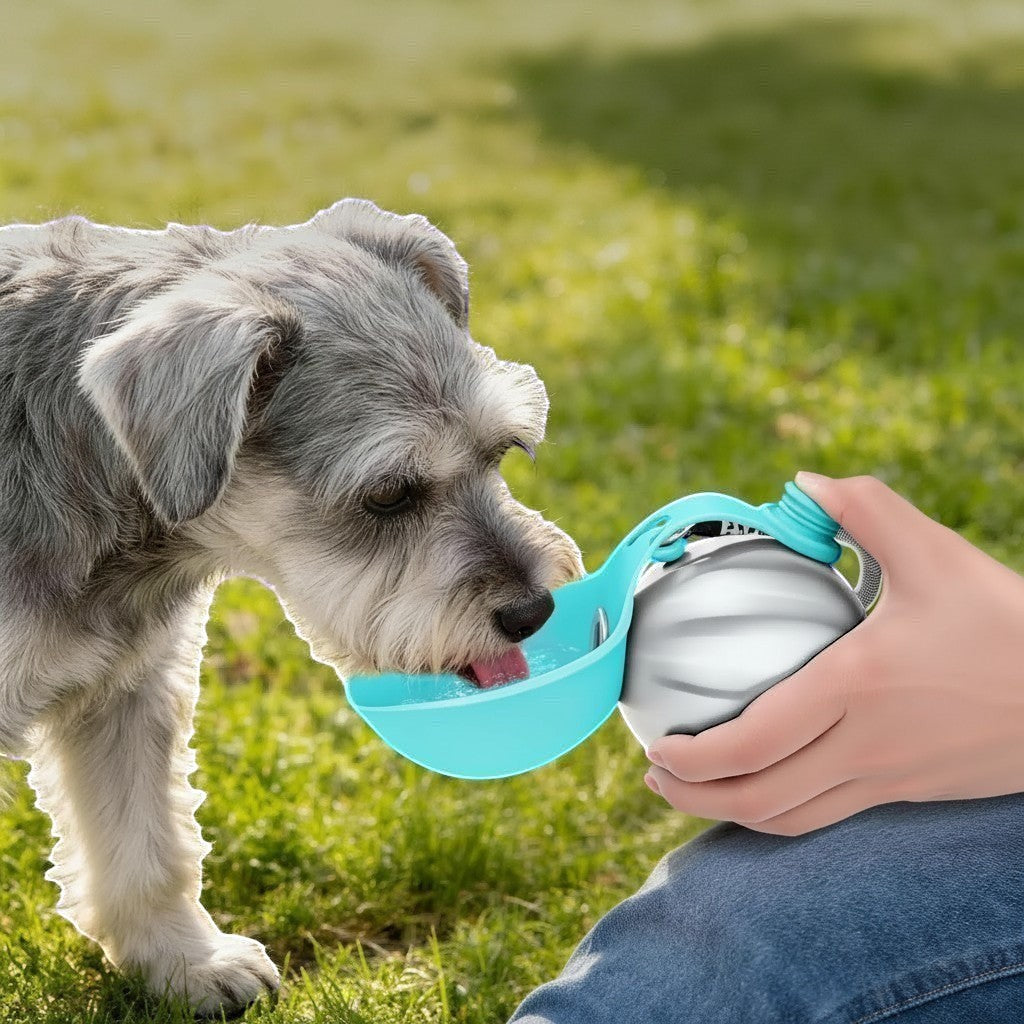 Perro schnauzer bebiendo agua de una botella portátil DELONEA de acero inoxidable con cuenco de silicona azul