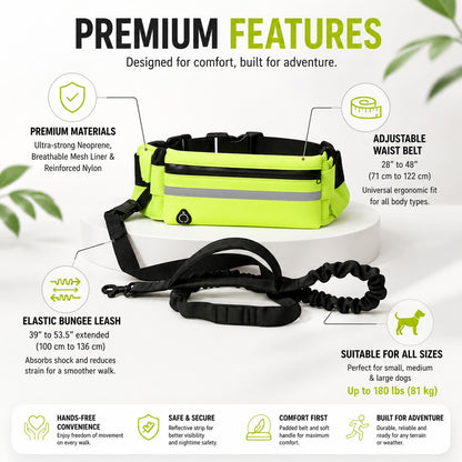 Sistema de correa manos libres DELONEA RunPup con cinturón de neopreno ajustable, correa elástica y detalles reflectantes